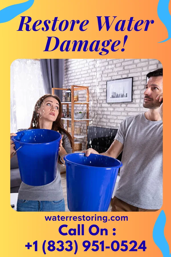 water restoration Victory Storm Damage Professionals Elwood