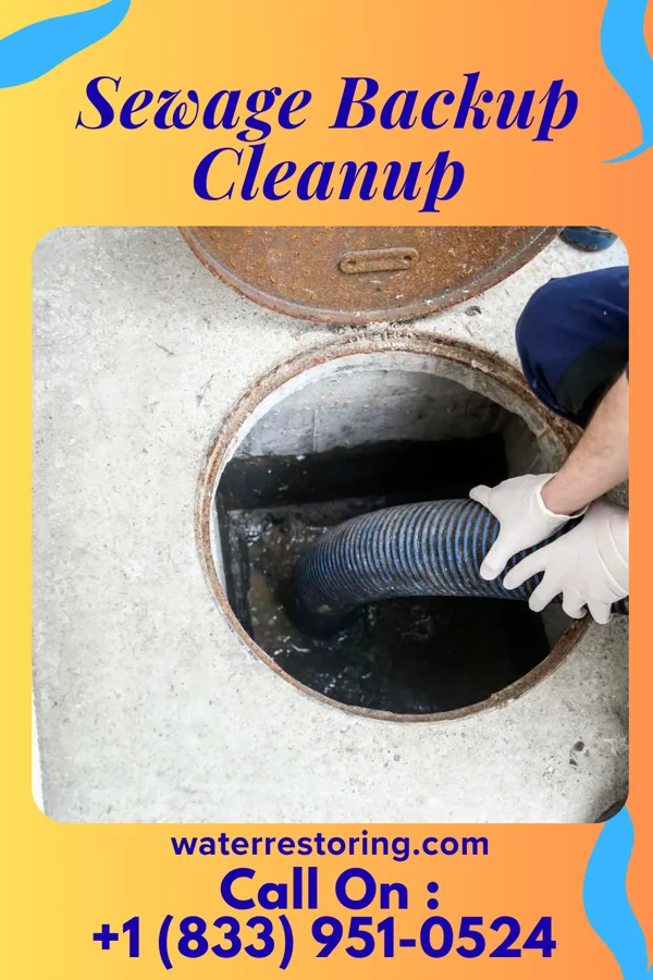 Sewage Backup Cleanup in Elwood, IL