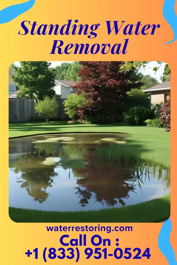 Standing Water Removal in Elwood, IL
